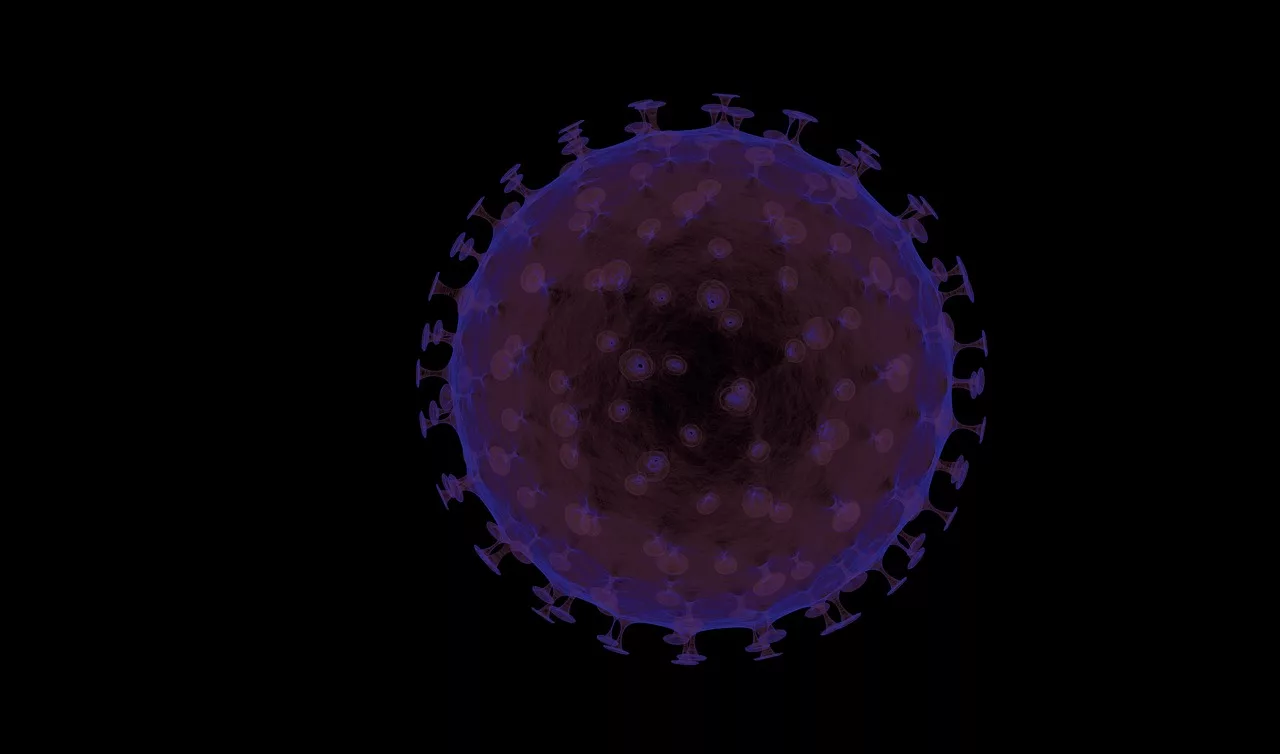 image shows microbe
